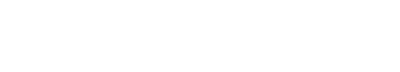 light logo